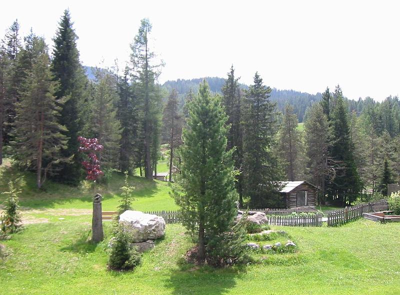 136-3698_IMG.JPG
