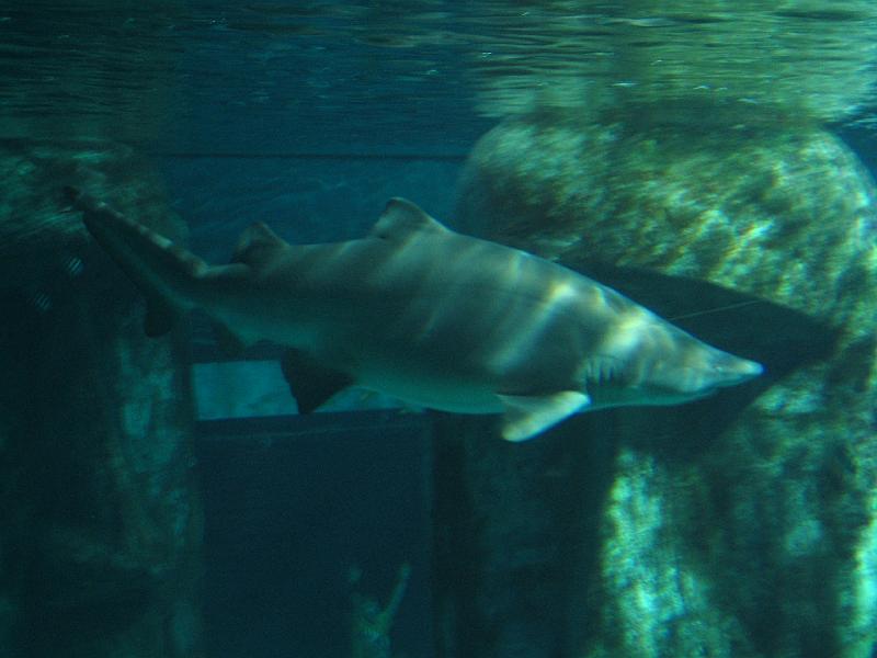 IMG_1209.JPG