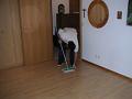 PICT0974