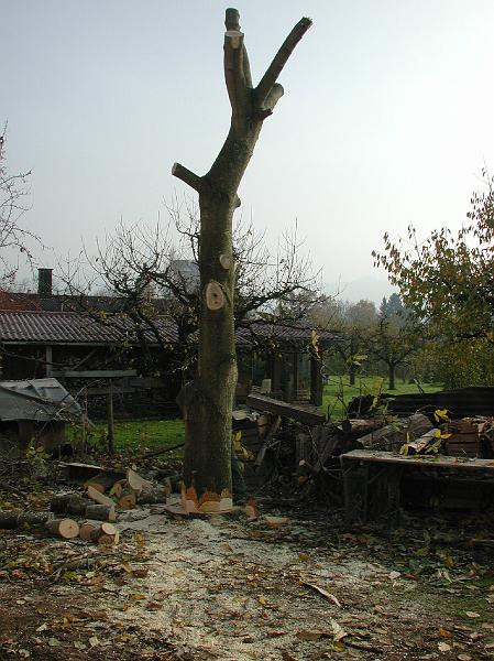 DSCN1385.JPG