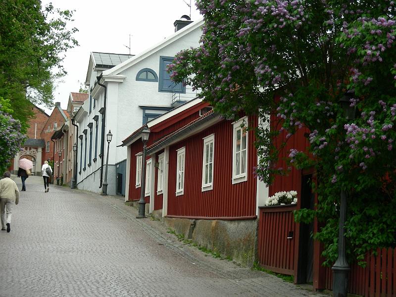 DSCN1291.JPG