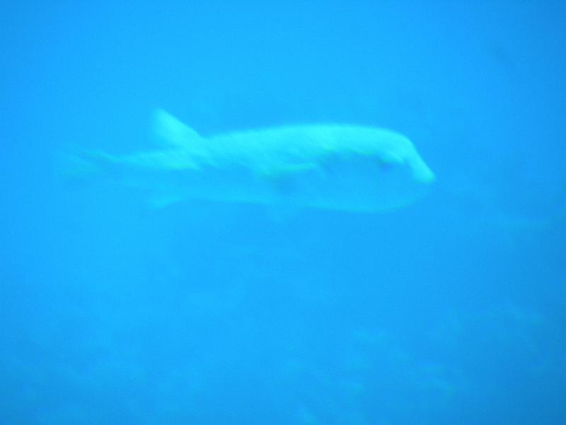 DSCN0697.JPG