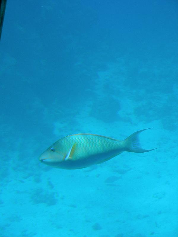 DSCN0707.JPG