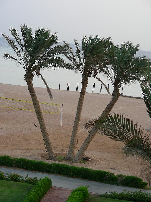 DSCN1528.JPG