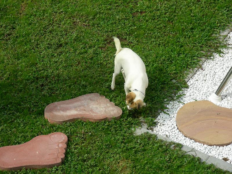 DSCN2046.JPG