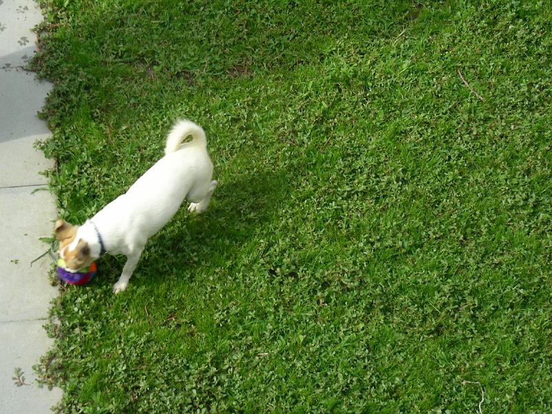 DSCN2048.JPG