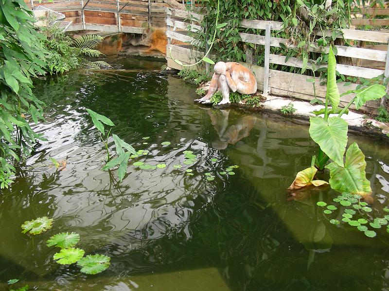 DSCN0944.JPG