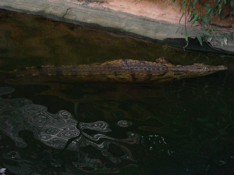 DSCN0955.JPG