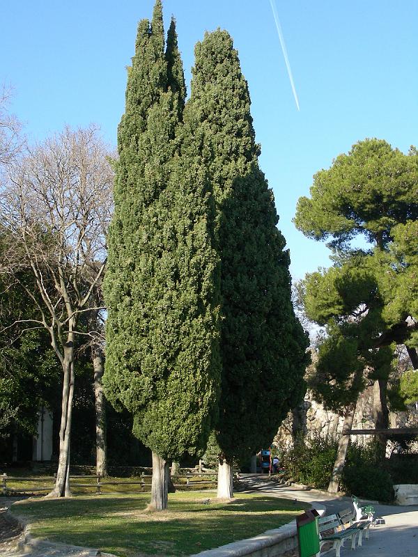 DSCN1073.JPG