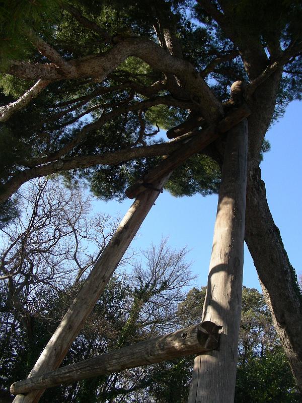 DSCN1074.JPG