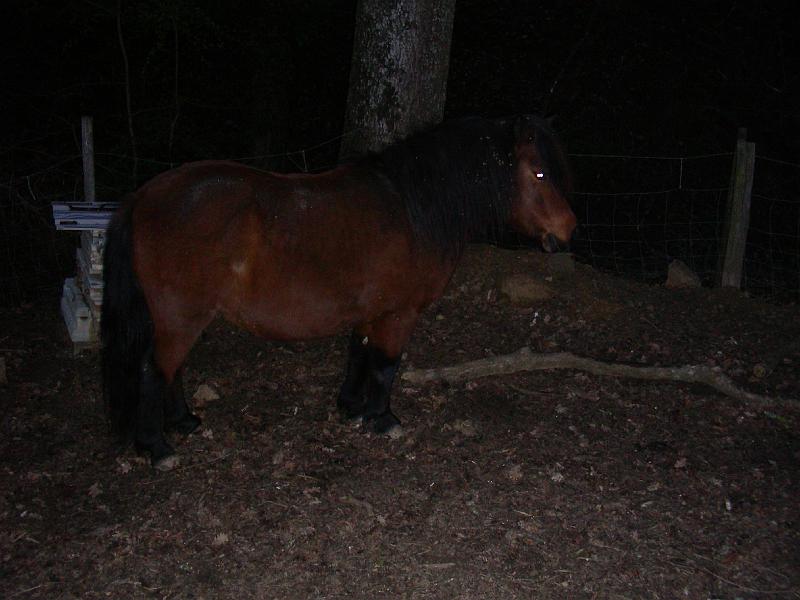 DSCN1603.JPG