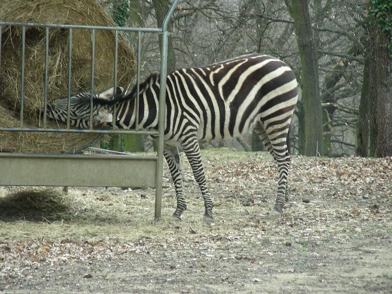 DSCN1563.JPG