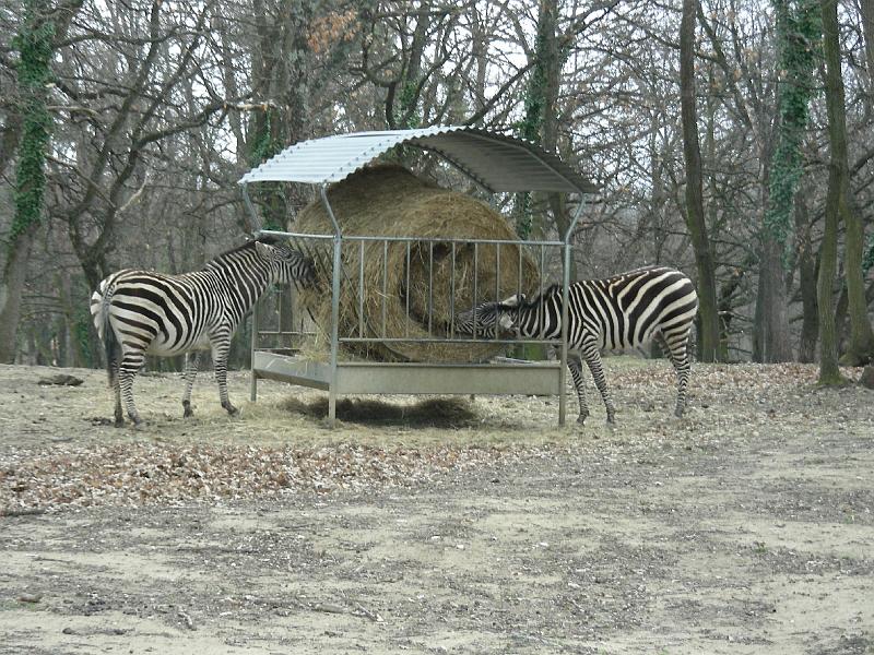 DSCN1564.JPG