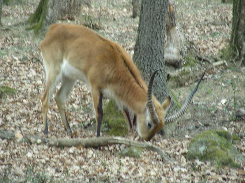 DSCN1565.JPG