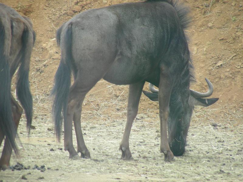 DSCN1566.JPG