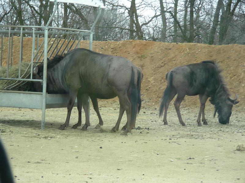 DSCN1567.JPG