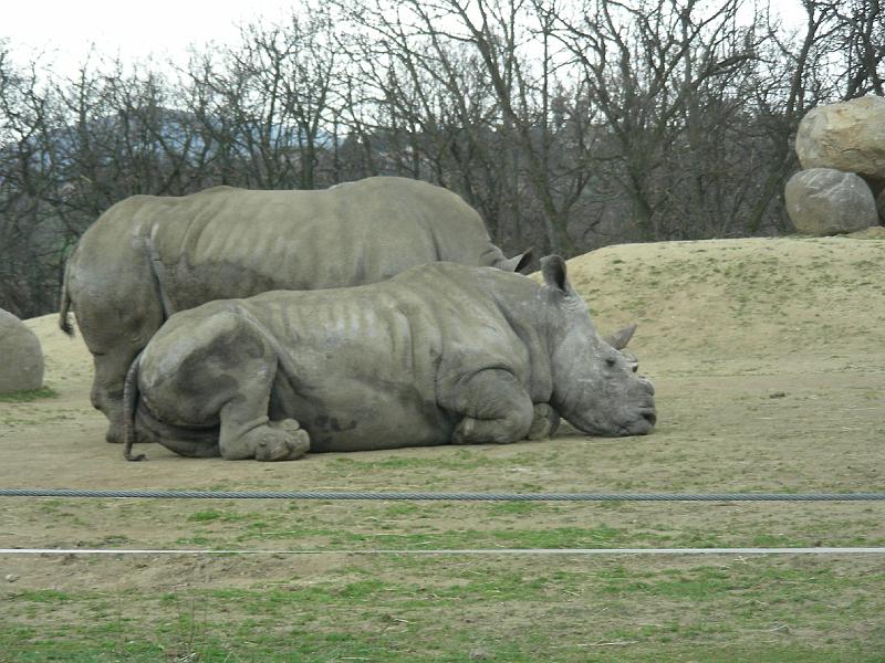 DSCN1568.JPG