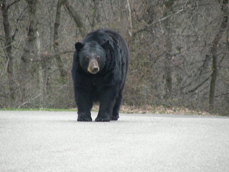 DSCN1569.JPG