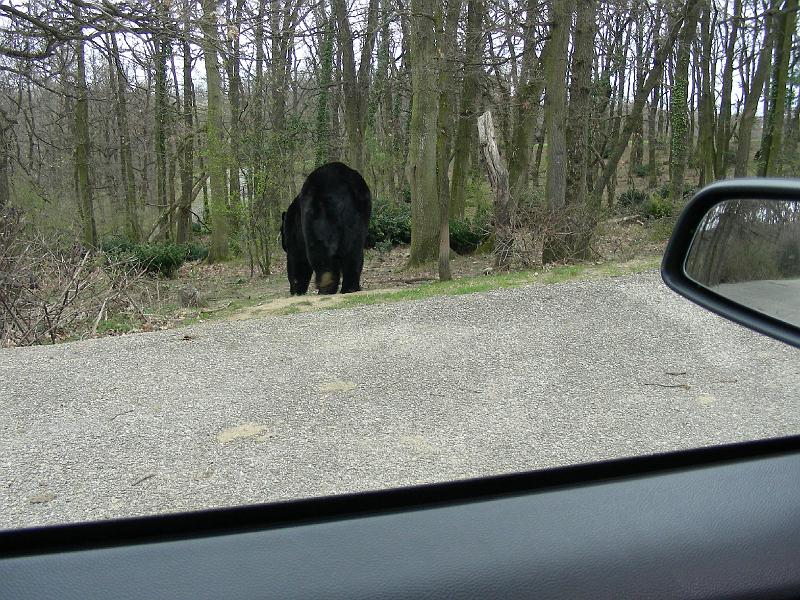 DSCN1573.JPG